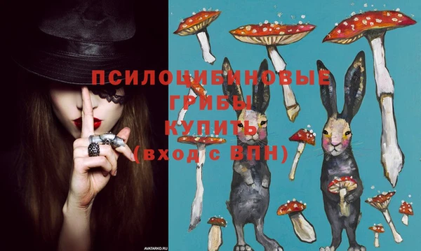 дмт Гусиноозёрск
