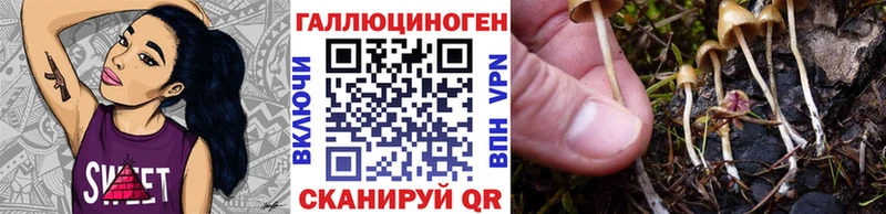 Купить закладки  Вятские Поляны  Псилоцибиновые грибы мухоморы 