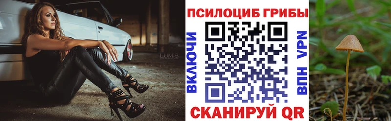 Галлюциногенные грибы ЛСД Вятские Поляны